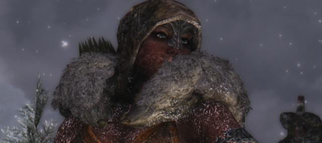 Skyrim_12