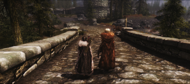 Skyrim_14